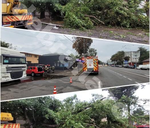 Incident grav. Pagube materiale și persoane rănite de un stejar rupt